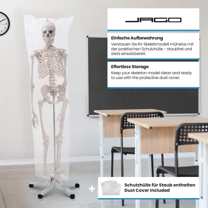 Jago® Menschliches Anatomie Skelett 181.5 cm - inkl. Schutzabdeckung, mit Ständer, Standfuss und Leh