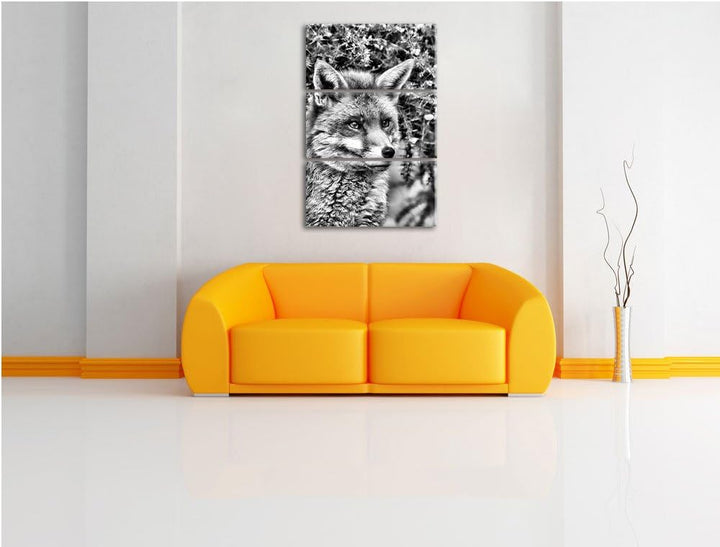 Pixxprint aufschauender Fuchs als Leinwandbild/Grösse: 3 Teilig (120x80) cm/Wandbild/Kunstdruck/fert