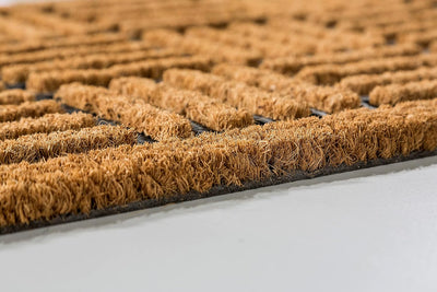 Carpido Fussmatte Kokos Gitter Design – Sauberlauf 40x60 cm 2er Set – Türmatte innen – antibakteriel