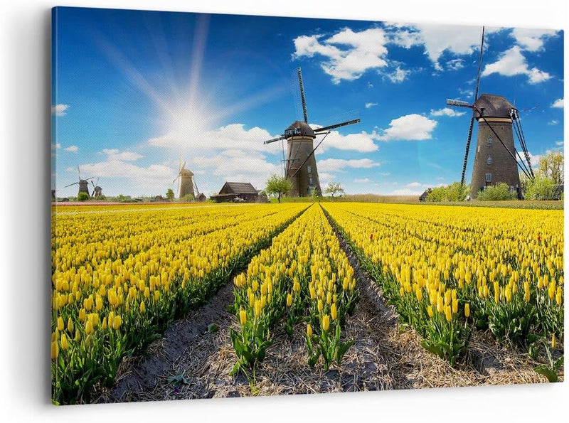 Bilder auf Leinwand 100x70cm Leinwandbild Tulpen Windmühle Wiese Landschaft Gross Wanddeko Bild Schl