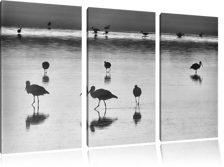 Pixxprint Pelikanschwarm im Wasser als Leinwandbild/Grösse: 3 Teilig (120x80) cm/Wandbild/Kunstdruck