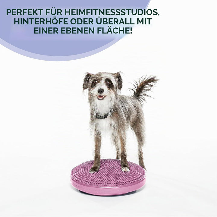 Fitpaws Balance-Disc für Hunde, 14", Violett