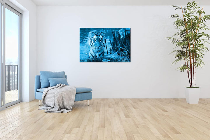 deyoli anmutiger Tiger im Wasser Format 80x60 Effekt: Monocrome Blau als Leinwandbild, Motiv fertig