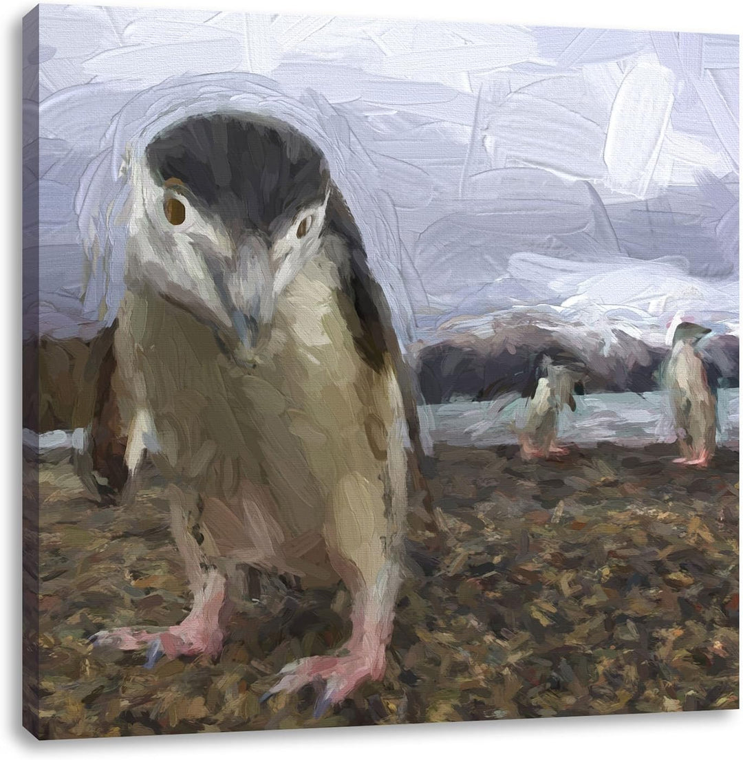 Lustige Pinguine als Leinwandbild/Grösse: 70x70 cm/Wandbild/Kunstdruck/fertig bespannt, 70x70