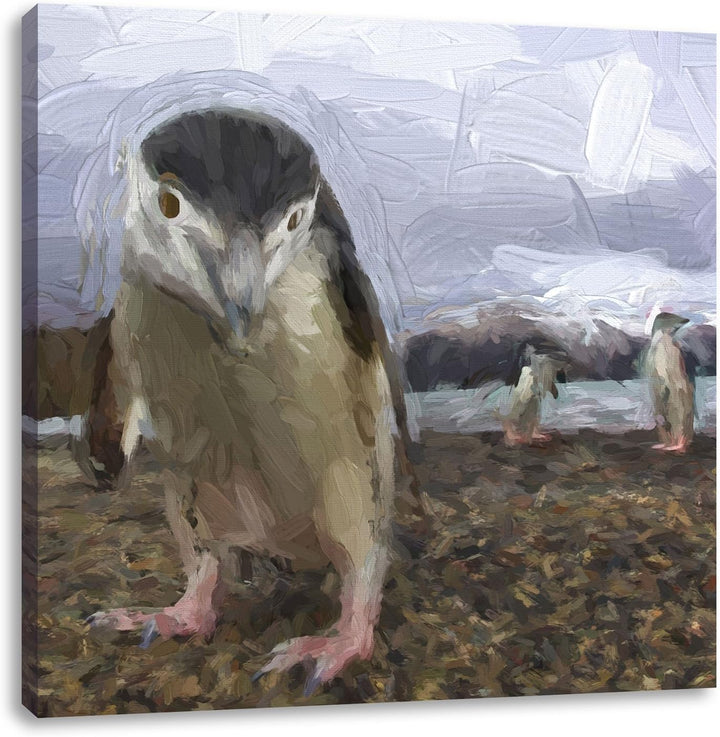 Lustige Pinguine als Leinwandbild/Grösse: 70x70 cm/Wandbild/Kunstdruck/fertig bespannt, 70x70