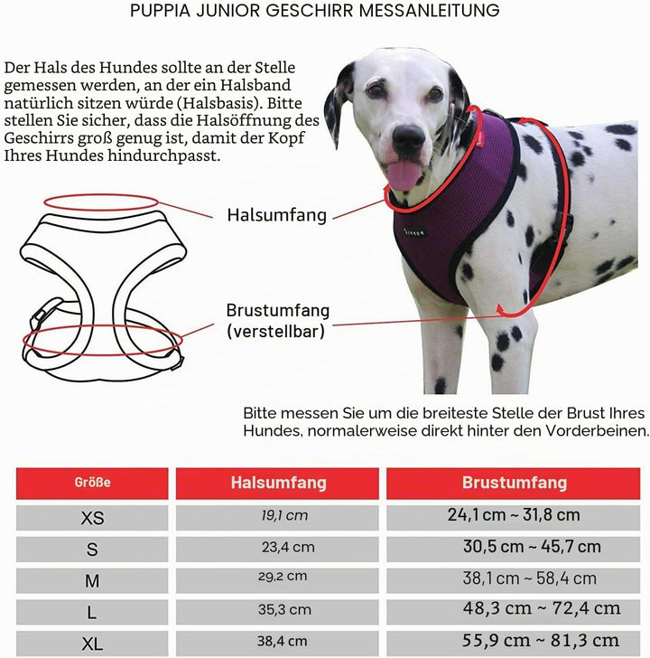 Puppia Junior - Hundegeschirr für kleine Hunde - leicht und super weich - Auch als Welpengeschirr ve