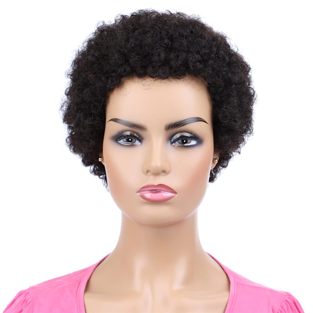 Afro gekinky lockiges menschliches Haar kurze Perücken für Frauen, flauschige Maschine hergestelltes
