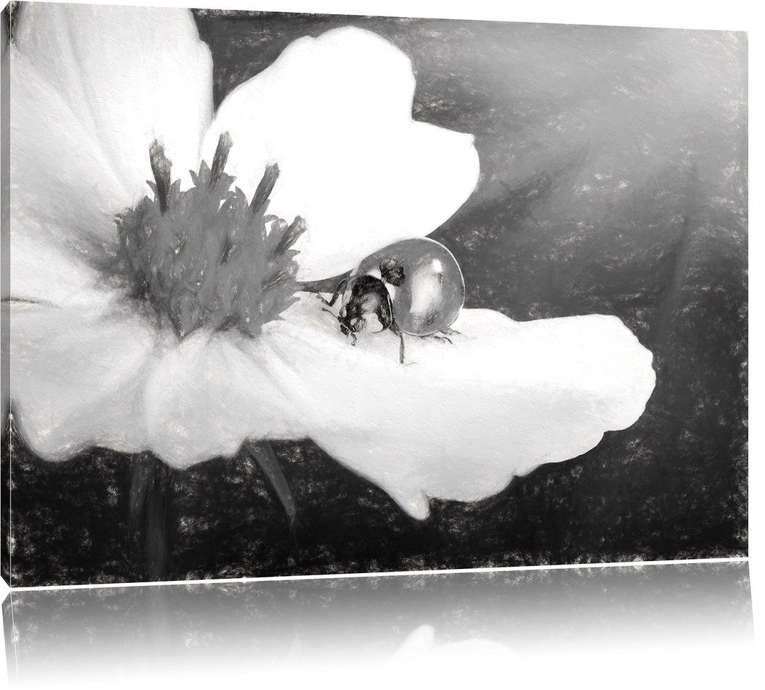 Pixxprint Marienkäfer auf Einer weissen Blume Kunst Kohle Effekt, Format: 100x70 auf Leinwand, XXL r