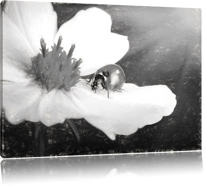 Pixxprint Marienkäfer auf Einer weissen Blume Kunst Kohle Effekt, Format: 100x70 auf Leinwand, XXL r