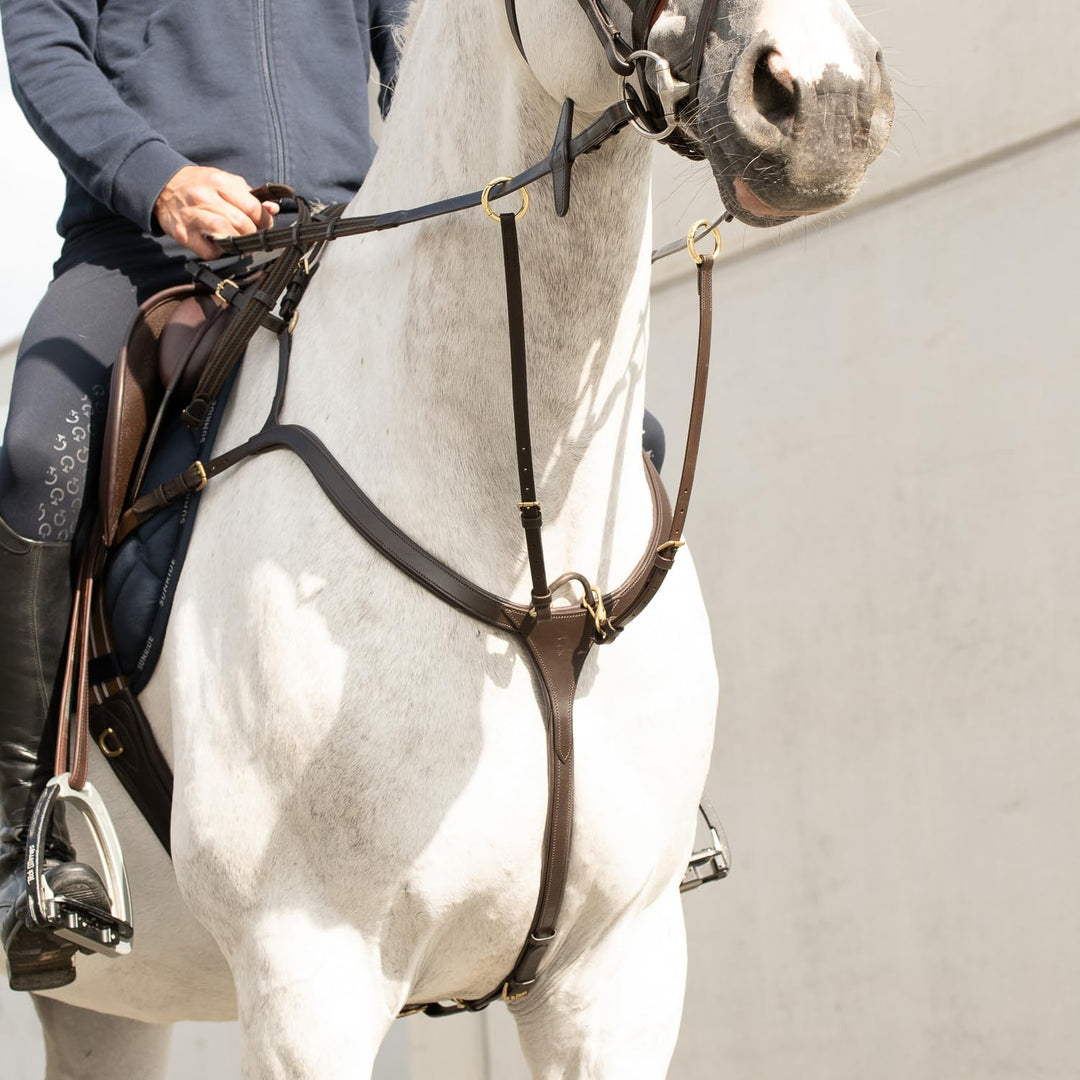SUNRIDE Vorderzeug Ascot aus Echtleder mit Martingal - für Pferde - als 5-Punkt und 3-Punkt nutzbar