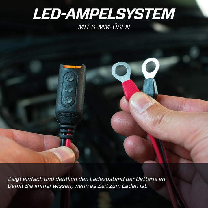 CTEK MXS 5.0 Test &amp; Charge, Batterieladegerät 12V, Batteriepfleger &amp; Indicator Eyelet M6, LED-Anzeig