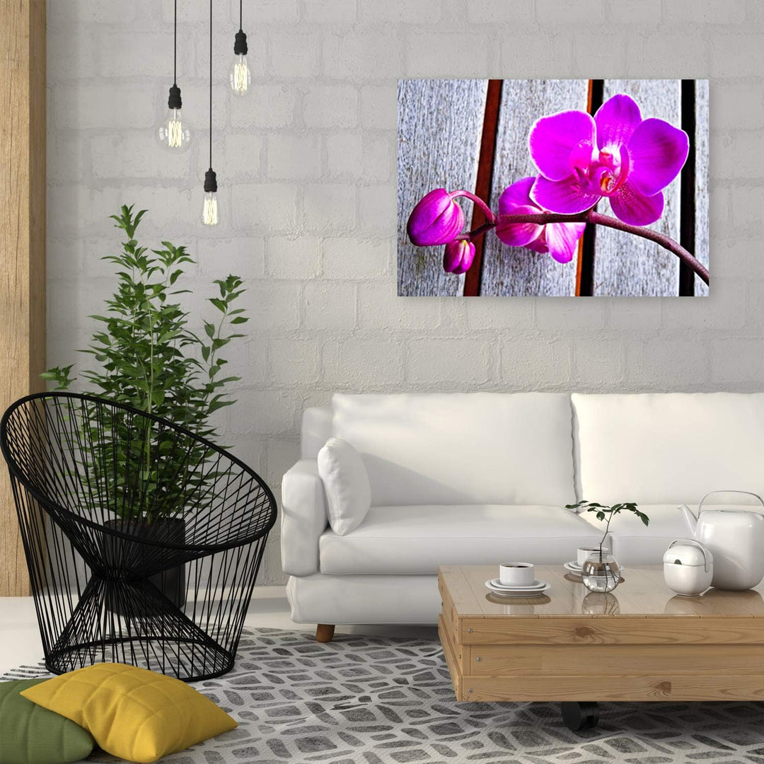 Feeby Wandbild Orchideen Druckbild Leinwandbild Blumen Violett 100x70 cm Leinwandbild 100x70 cm Viol