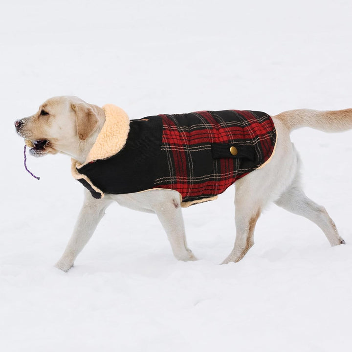 CITÉTOILE Hundemantel Kariert, Warmer Hunde Winterjacken Futter aus Fleece für kleine/grosse/mittler