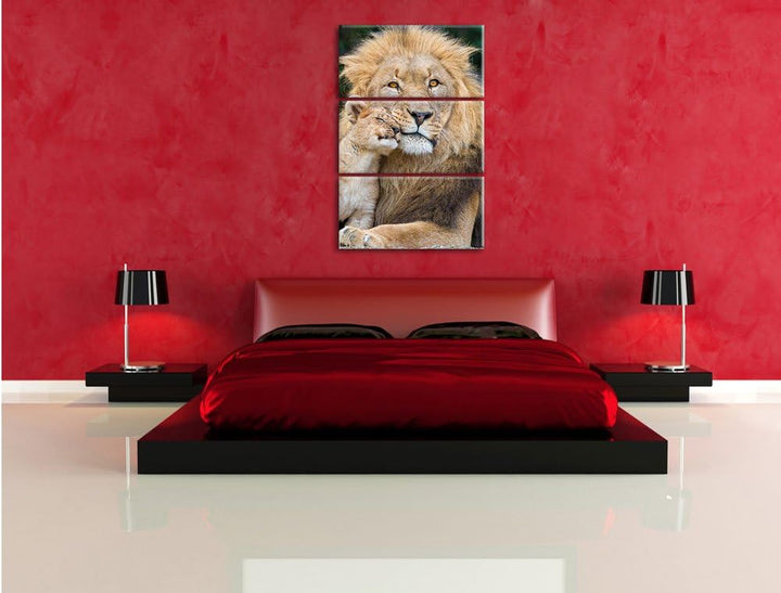 Pixxprint schöner Löwe mit Jungtier als Leinwandbild/Grösse: 3 Teilig (120x80) cm/Wandbild/Kunstdruc