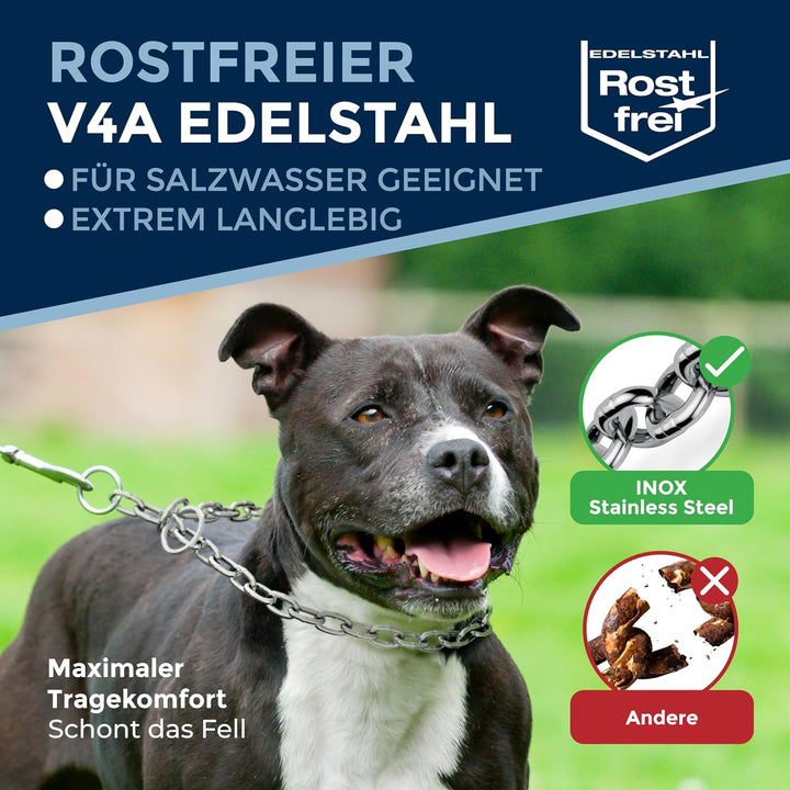 rostfreier Kettenwürger mit Zugstop zum Hundetraining - Hundehalsband Hundekette aus Edelstahl - lan