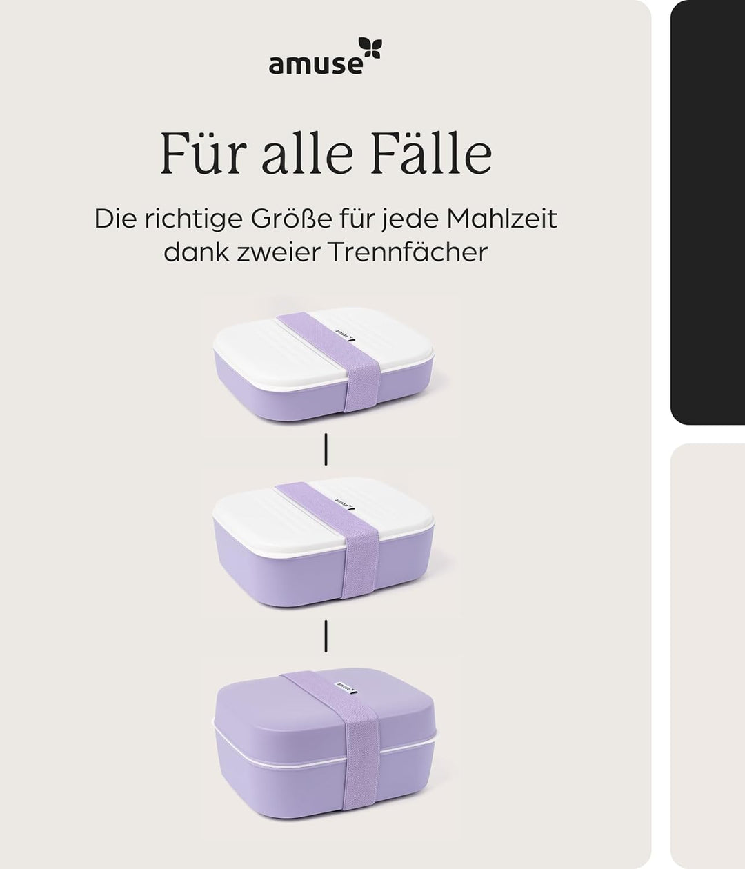 Amuse Lunchbox Erwachsene | Salat To Go Box, Brotdose Erwachsene oder Jausenbox Kinder | Bento Box |