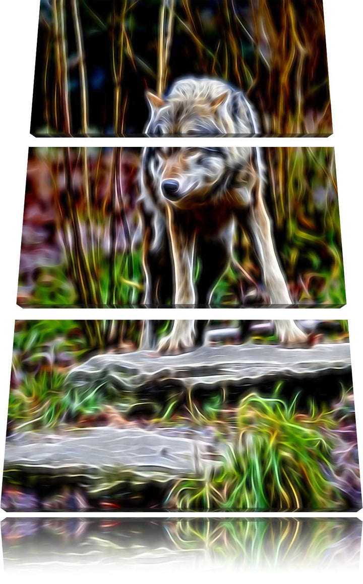 lauernder Wolf Spezial 3-Teiler Leinwandbild 120x80 Bild auf Leinwand, XXL riesige Bilder fertig ger