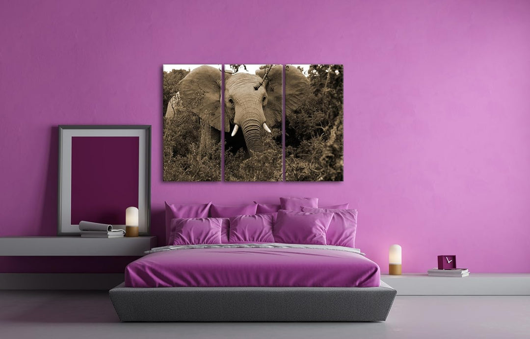 Afrikanischer Elefant in der Natur Format: 3-teilig 120x80 Effekt: Sepia als Leinwandbild, Motiv fer