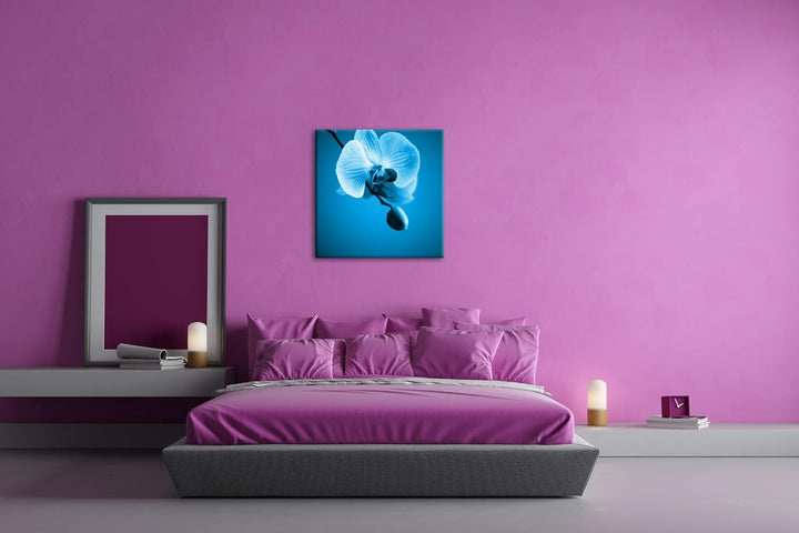 deyoli Zauberhafte Orchidee Format: 70x70 Effekt: Monocrome Blau als Leinwandbild, Motiv fertig gera