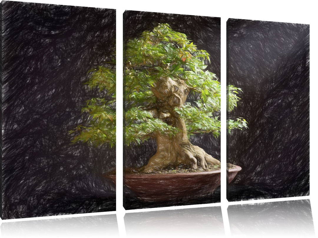 Pixxprint Kleiner Bonsaibaum Bunstift Effekt 3-Teiler Leinwandbild 120x80 Bild auf Leinwand