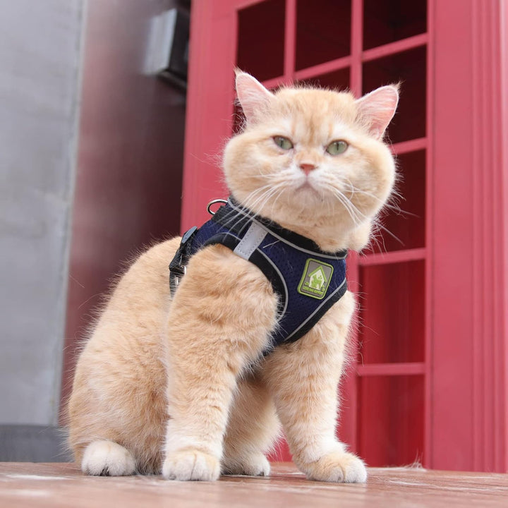 FEimaX Hundegeschirr mit Leine für Kleine Mittele Hunde Katzen Weich Mesh Welpengeschirr Atmungsakti