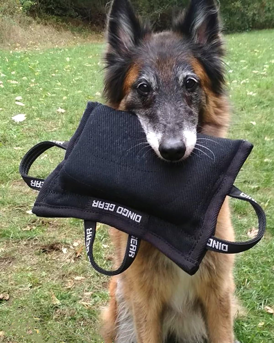 Dingo Gear Beisskissen Keilform Medium Weich aus Baumwolle-Nylon Schwarz IPO IGP K9 Training Ausbild
