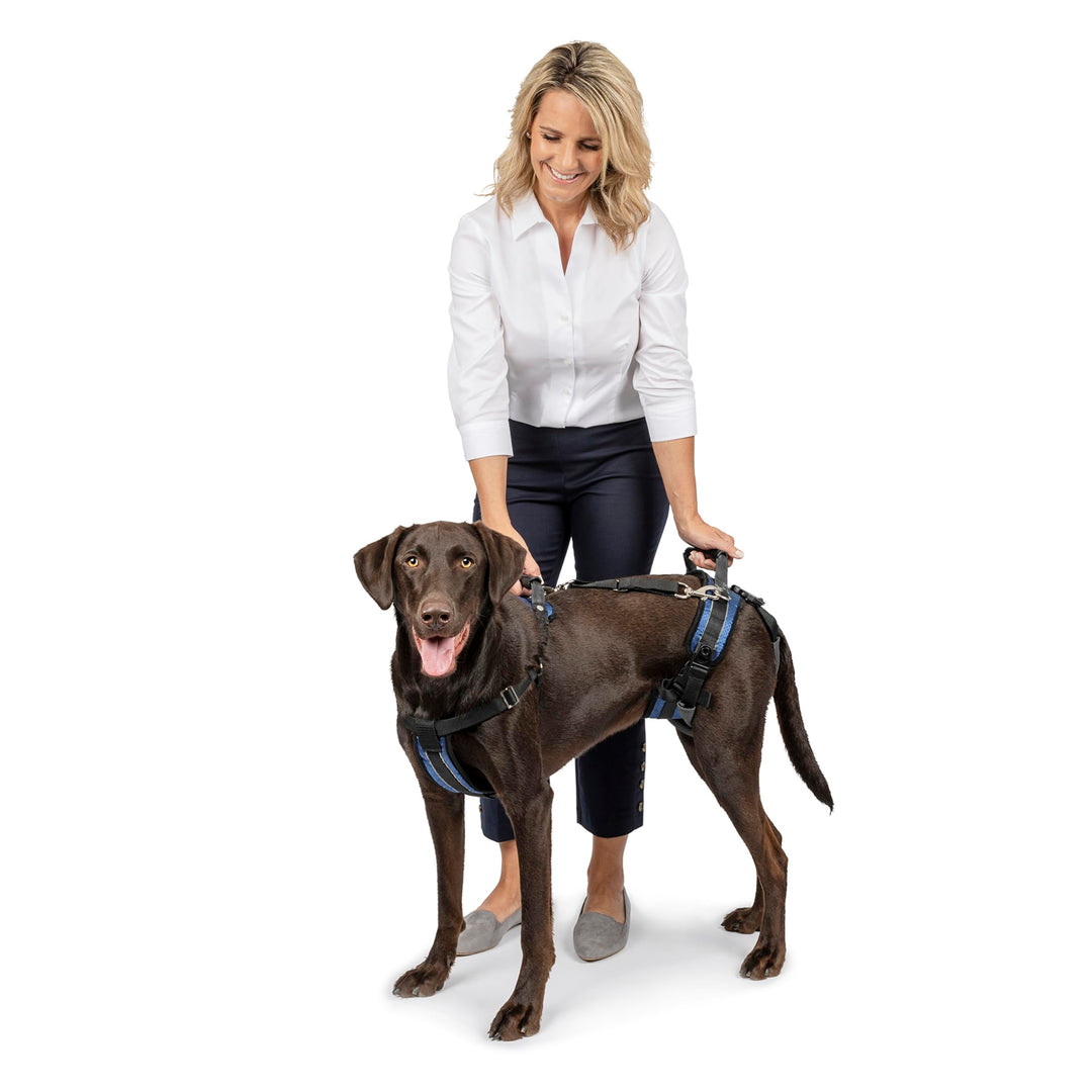 PetSafe CareLift Hebegeschirr für Hunde, Ganzkörperhebehilfe mit Griff und Schultergurt, Brust- und
