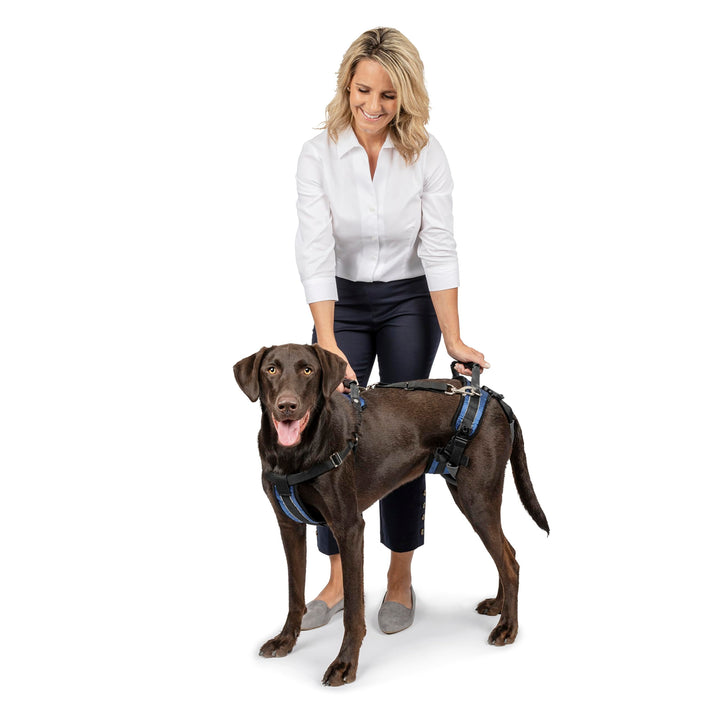 PetSafe CareLift Hebegeschirr für Hunde, Ganzkörperhebehilfe mit Griff und Schultergurt, Brust- und