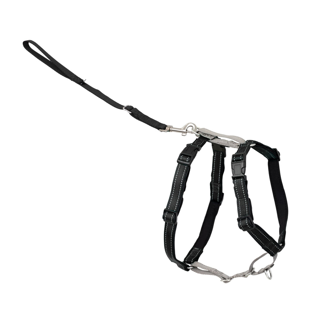 PetSafe 3in1 Harness, from The Makers of The Easy Walk Harness, Fully Adjustable No-Pull Dog Harness