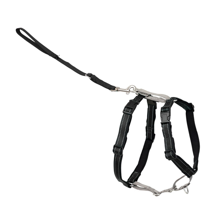 PetSafe 3in1 Harness, from The Makers of The Easy Walk Harness, Fully Adjustable No-Pull Dog Harness