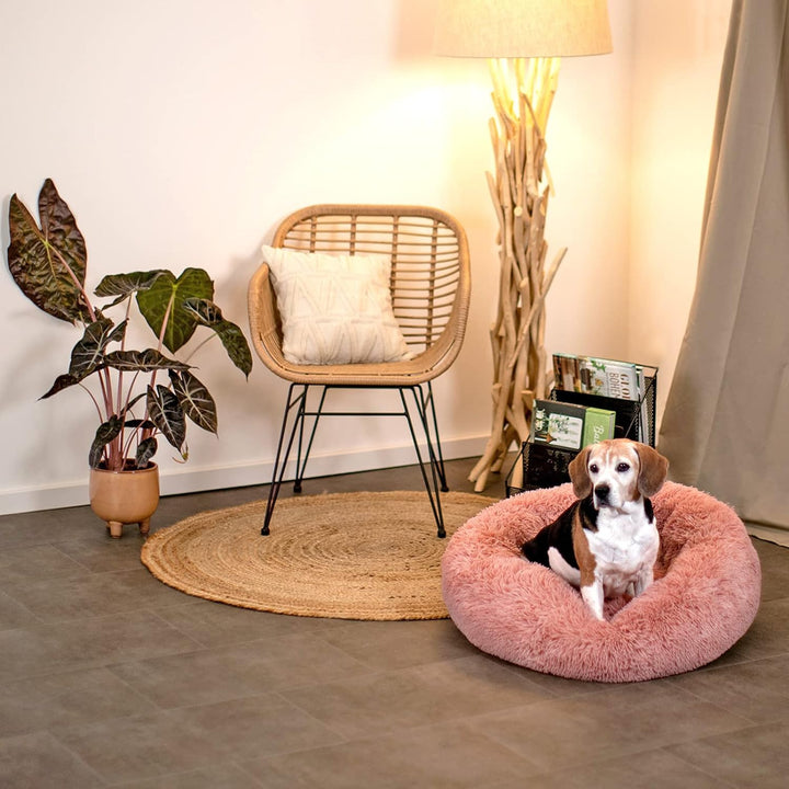 lionto Hundebett rund Hundekissen Hundesofa Katzenbett Donut, (XL) 70 cm Ø rosa L 70 x B 70 x H 20 c