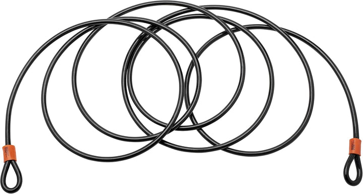 Burg Wächter Sicherheitskabel, Schwarz, 500 cm Single, Single