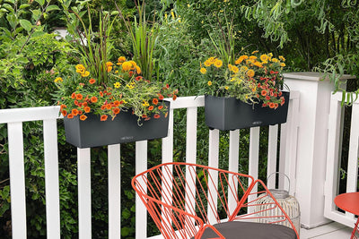 LECHUZA "BALCONERA Color 50" Pflanzgefäss mit Erd-Bewässerungs-System, Schiefergrau, 50 x 19 x 19 cm