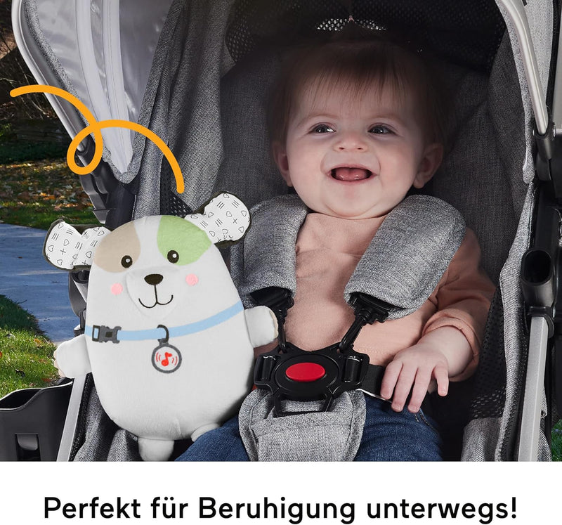 Fisher-Price Schlummer Hündchen Spieluhr - Tragbarer weicher Plüschklangerzeuger mit beruhigender Mu