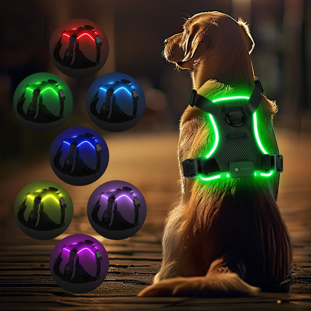 MASBRILL Hundegeschirr Leuchtend, LED Hundegeschirr Aufladbar & Einstellbar für Welpen Kleiner Mittl