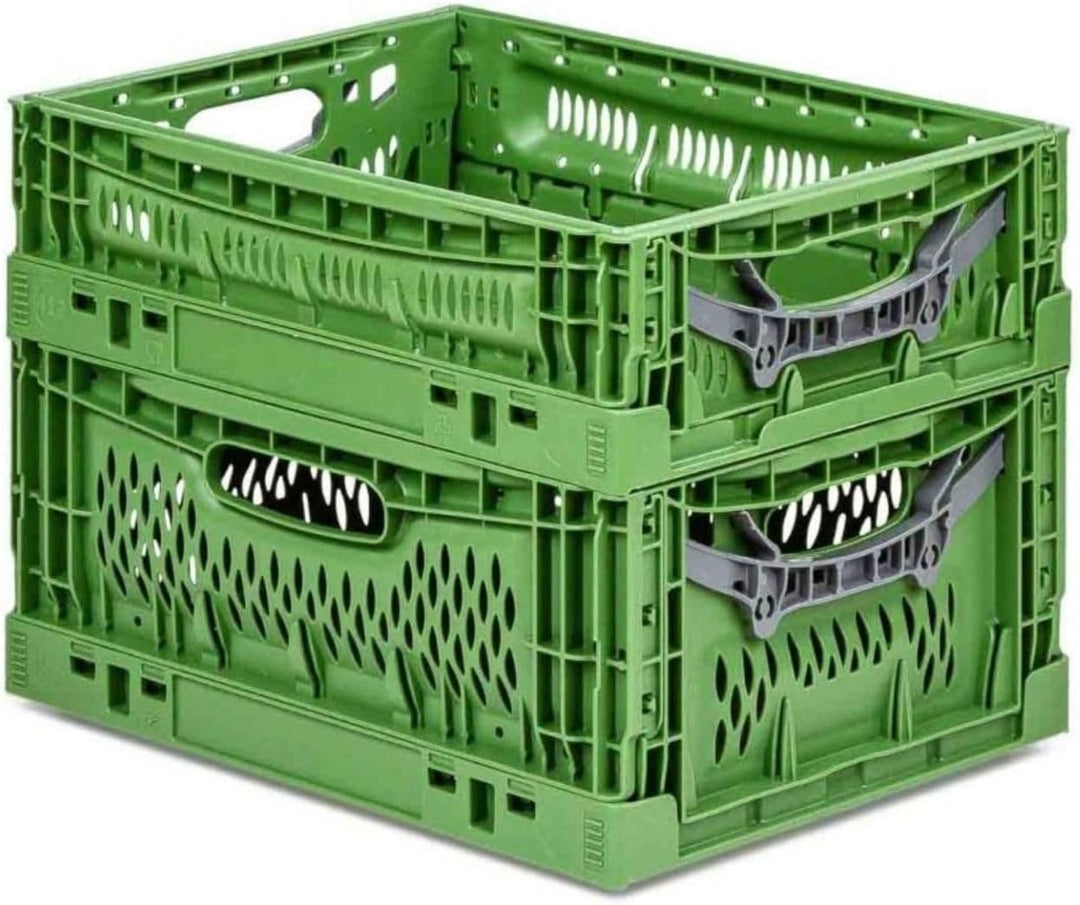 PROREGAL Stabile Profi-Klappbox Chameleon in Industriequalität | HxBxT 18x30x40cm | 17 Liter | klapp