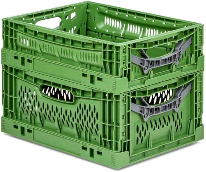PROREGAL Stabile Profi-Klappbox Chameleon in Industriequalität | HxBxT 18x30x40cm | 17 Liter | klapp
