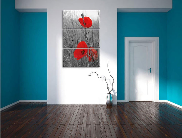 Pixxprint einzelne Mohnblumen im Getreidefeld als Leinwandbild/Grösse: 3 Teilig (120x80 cm) cm/Wandb
