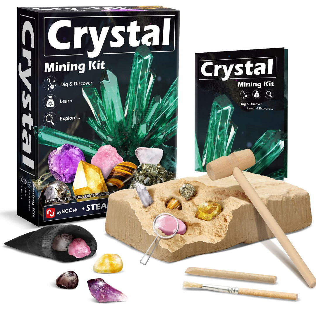 Byncceh Mineralien Ausgrabungsset, Edelstein Ausgraben Spielzeug mit 5 Geologie Steine, Grabe echte