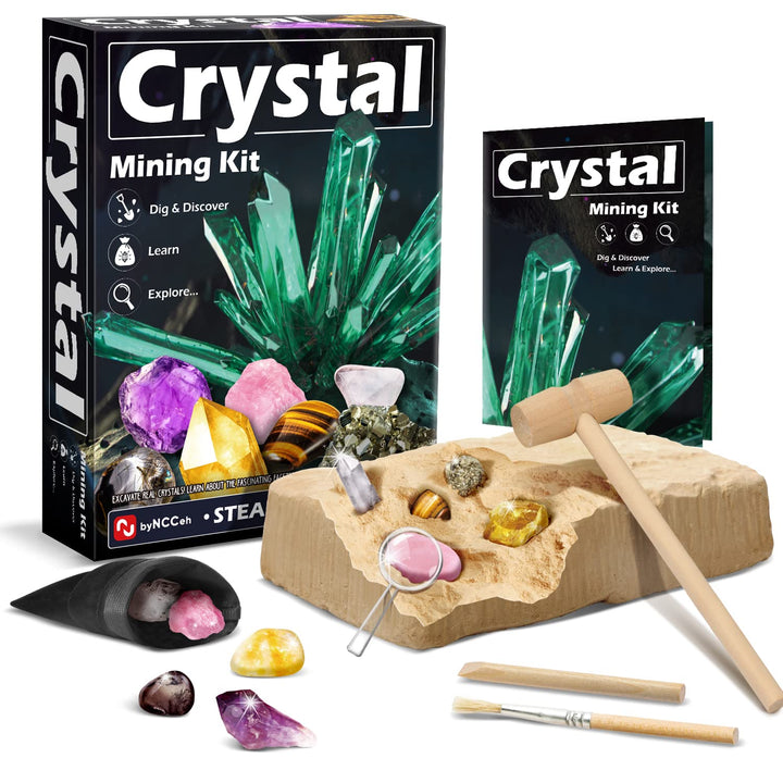 Byncceh Mineralien Ausgrabungsset, Edelstein Ausgraben Spielzeug mit 5 Geologie Steine, Grabe echte