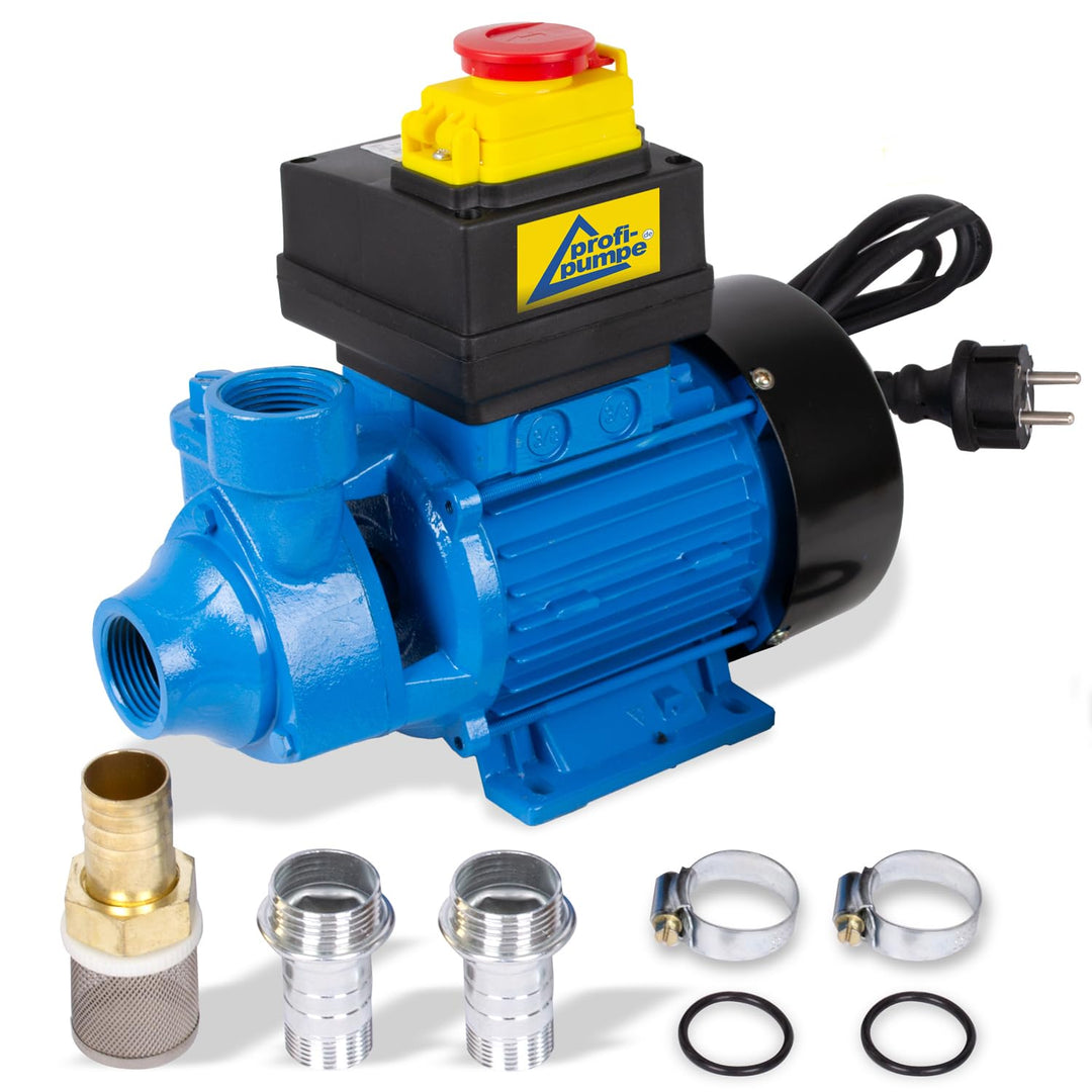 DIESELPUMPE HEIZÖLPUMPE ÖLPUMPE Biodiesel B-Ware Diesel Profi 600 ELEKTRISCHE 230V DIESELPUMPE Leist