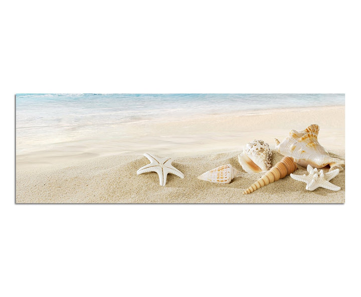 Paul Sinus Art Panoramabild auf Leinwand und Keilrahmen 150x50cm Sandstrand Meer Muscheln Schneckenh