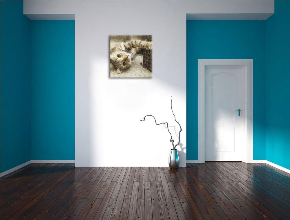 Pixxprint Katze streckt Sich als Leinwandbild Quadratisch/Grösse: 70x70 / Wandbild/Kunstdruck/fertig