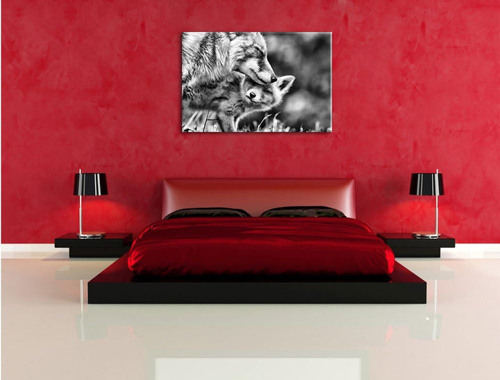 Pixxprint Kuschelnde Füchse als Leinwandbild/Grösse: 100x70 / Wandbild/Kunstdruck/fertig bespannt, 1