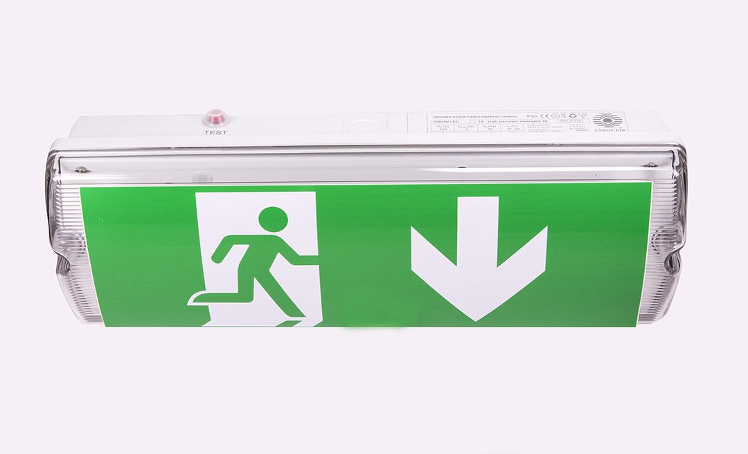 IP 65 LED Dauerlicht Notleuchte Notbeleuchtung Notausgang Fluchtwegleuchte Notlicht Fluchtweg EXIT (