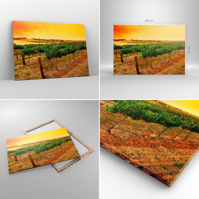 Bilder auf Leinwand 100x70cm Leinwandbild Landschaft Weinberg Sonnenuntergang Gross Wanddeko Bild Sc