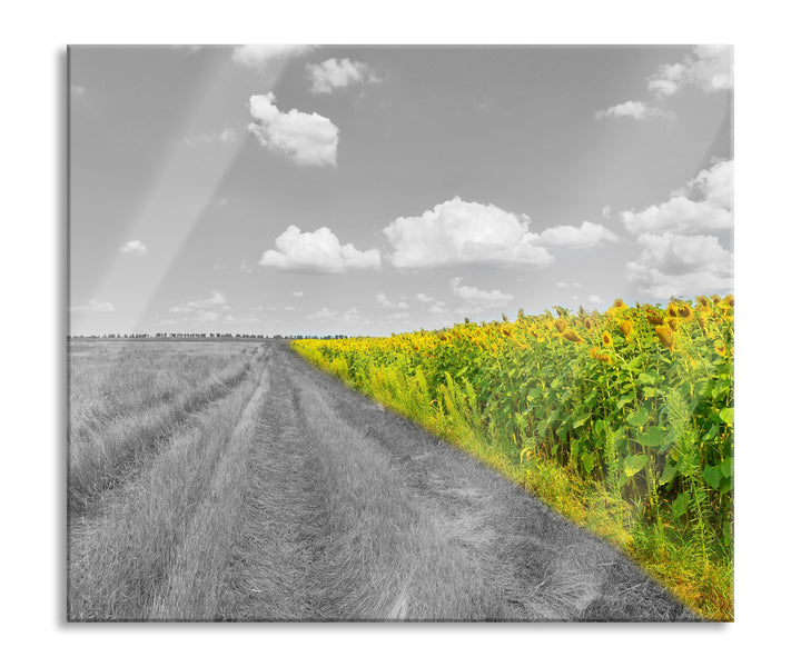 Feldweg Sonnenblumen Herdabdeckplatte & Spritzschutz aus Echtglas | Für Herd-Kochfelder | 60x52 cm