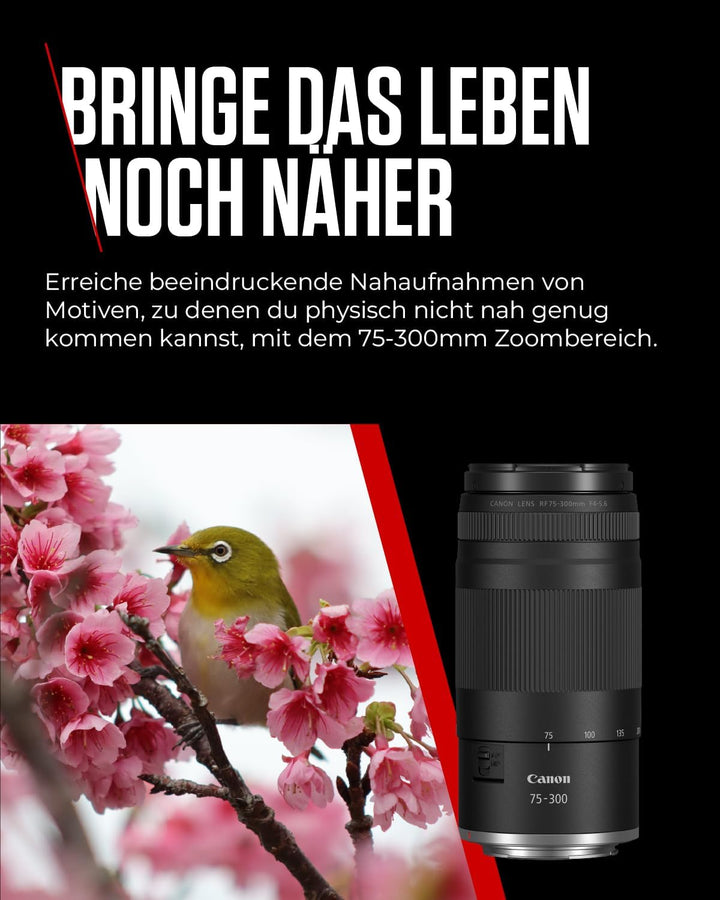 Canon RF 75-300mm F4-5.6 Objektiv | Leichtes Telezoom-Objektiv für Tier- & Sportfotografie | Mit Aut