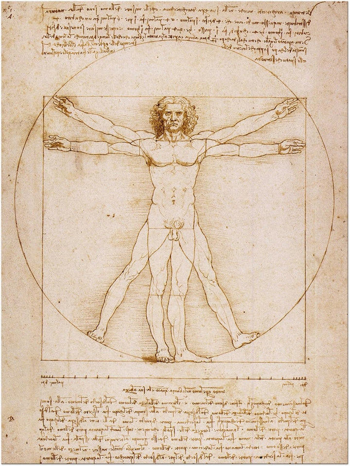 Bilderdepot24 Bild auf Leinwand | Leonardo da Vinci Vitruvianischer Mensch in 50x60 cm als Wandbild
