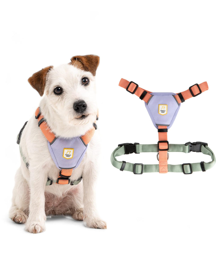 Woolly Wolf Color Block Hundegeschirr für kleine Hunde S – Geschirr mit Reflektoren &amp; 5-Punkt-Anpass